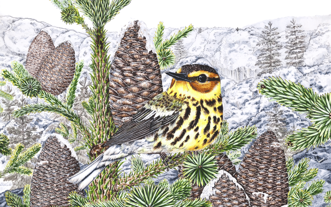 Birds Connect Minnesota Artist to the BWCA