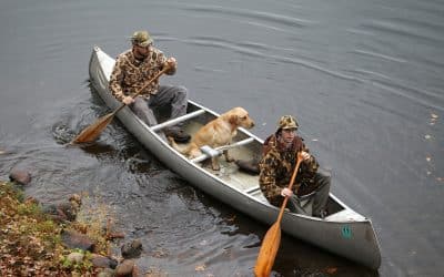 Hunting Organizations Voice Concern Over BWCA Policy Regarding Dogs in the Wilderness