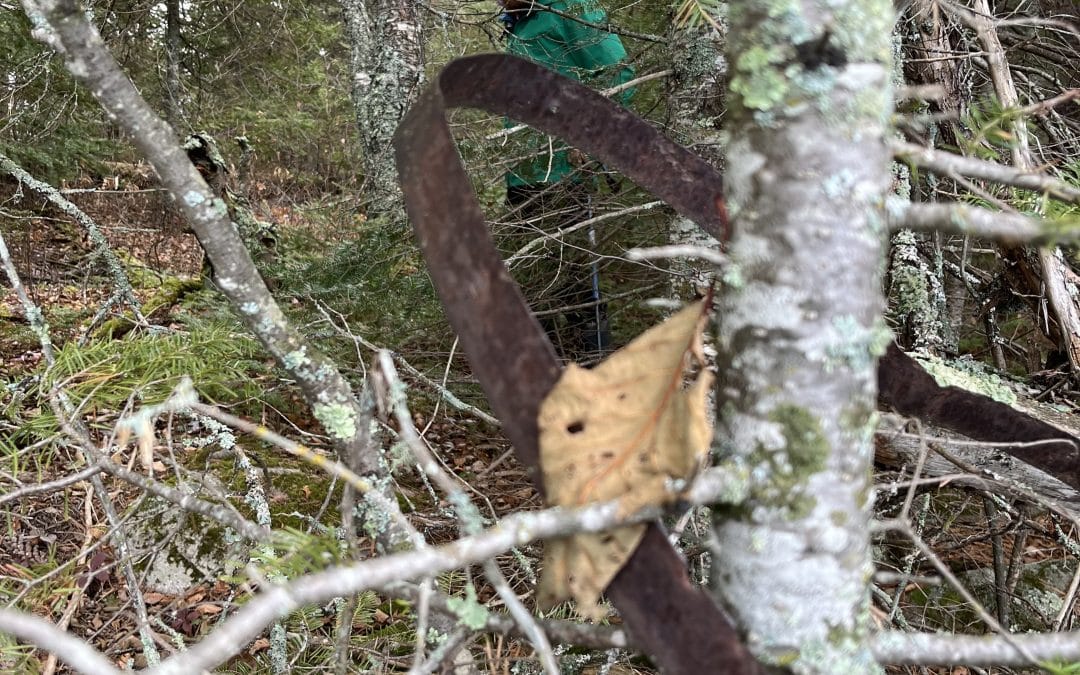 The Epic Saga of Frank Kugler on Pine Lake in the Boundary Waters