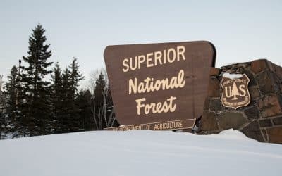 Technicality Likely to Lead to Rescission of Mining Ban on Superior National Forest