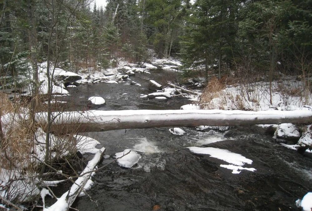 The Quiet Time: November in the Boundary Waters