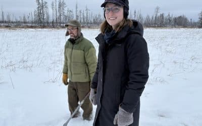 Fire, Logging, and Healthy Forests Near the Boundary Waters