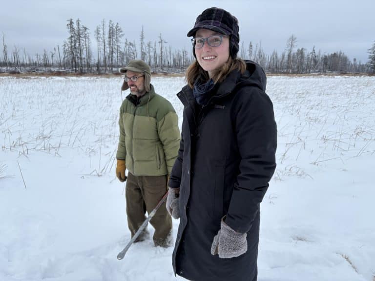 Fire, Logging, and Healthy Forests Near the Boundary Waters