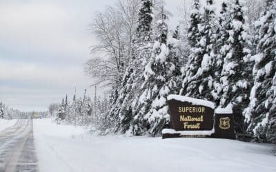 Update on Boundary Waters News with Forest Supervisor Tom Hall