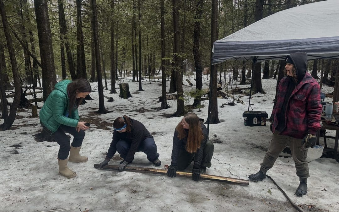 Winter Camping in the Spring Thaw