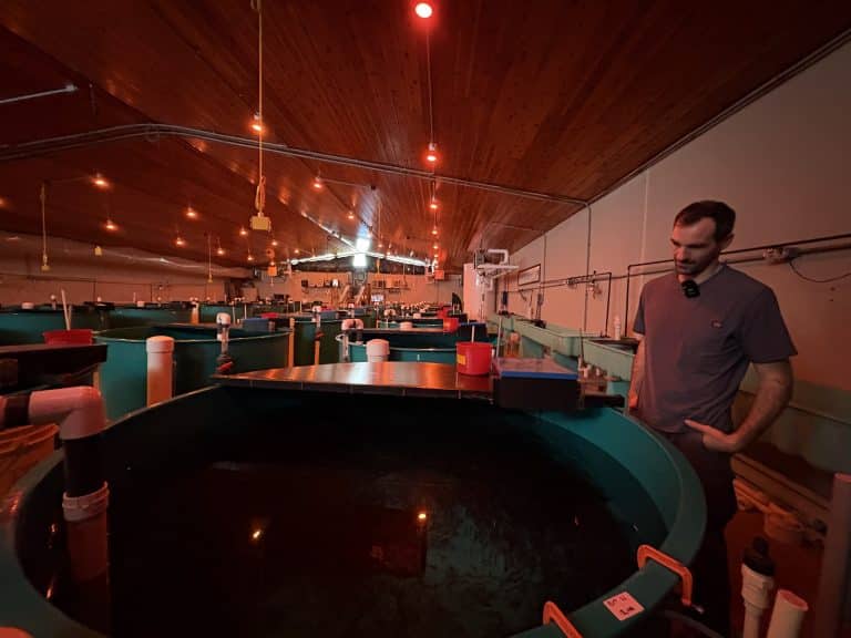 Boundary Waters Trout – The Minnesota Hatchery Tour