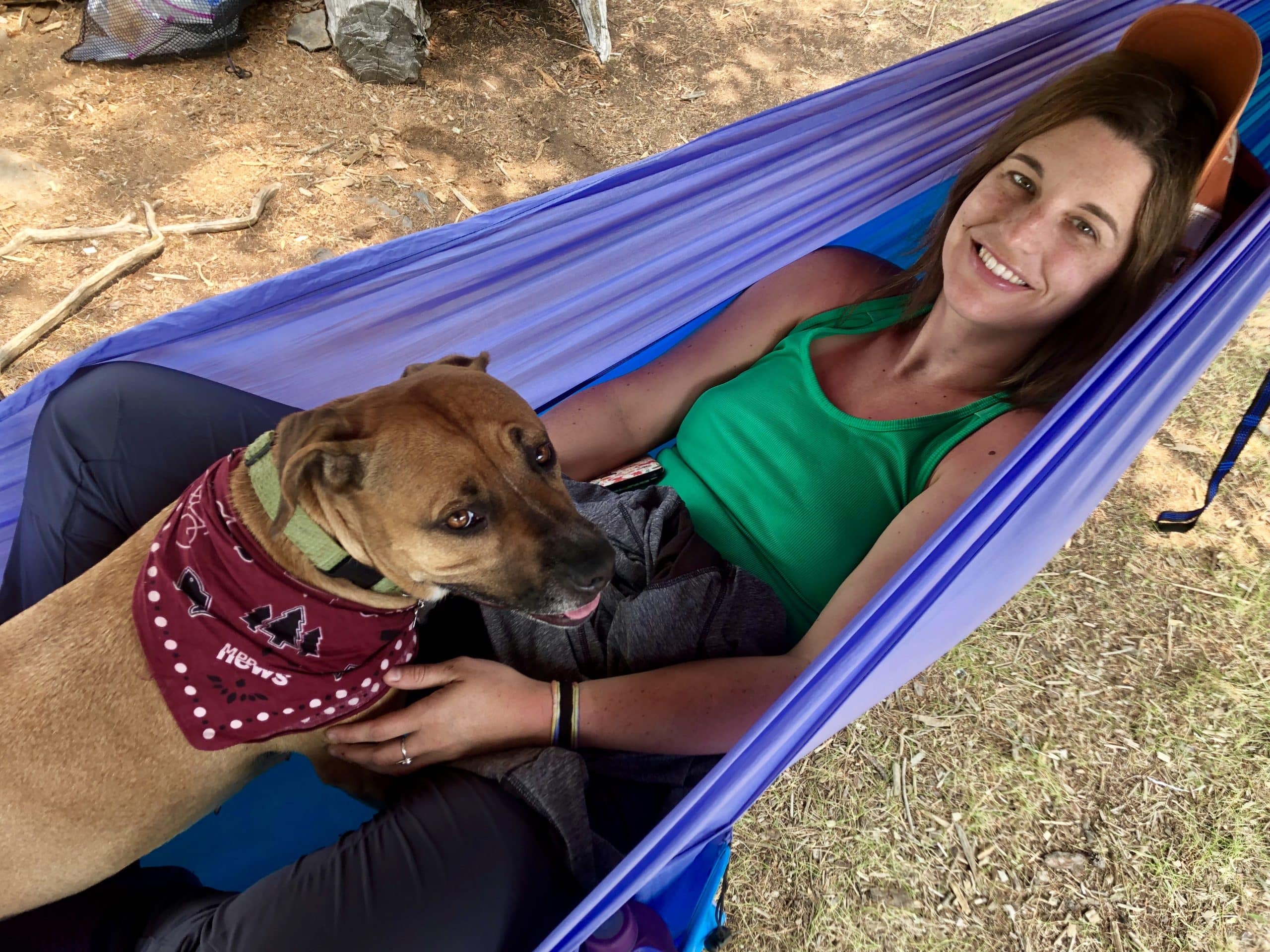 Dogs in the BWCA – Leash Law and Wildlife Encounters
