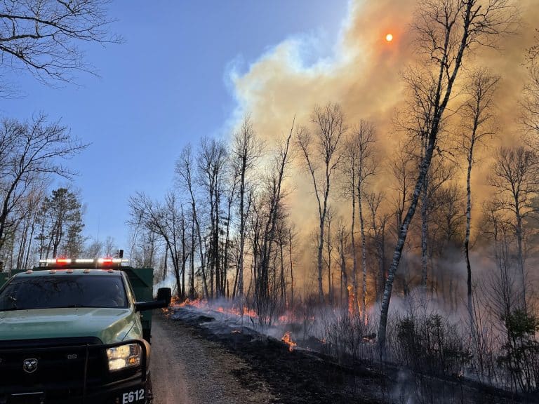 Fernberg Project to Commence Without Prescribed Fire in the BWCA Wilderness