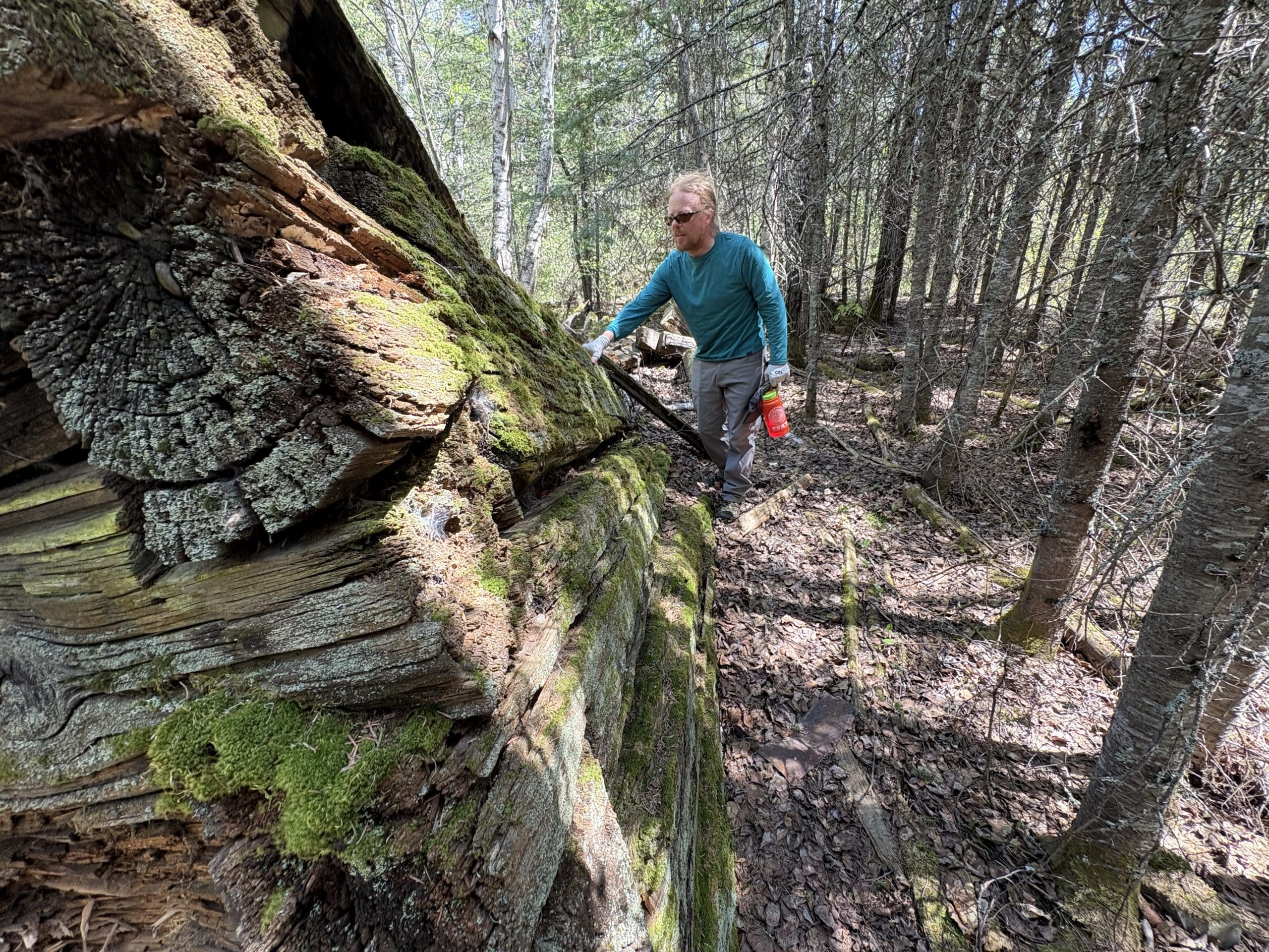 An Adventure to the Ruins of an Old Silver Mine & Cabin in the BWCA