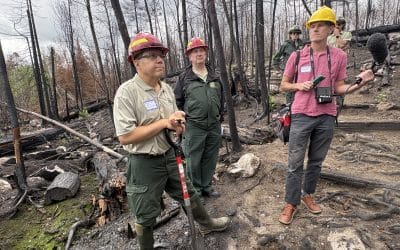 A Tour of Areas Burned in 2026 BWCA Wildfires