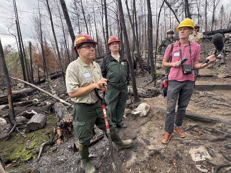 A Tour of Areas Burned in 2026 BWCA Wildfires