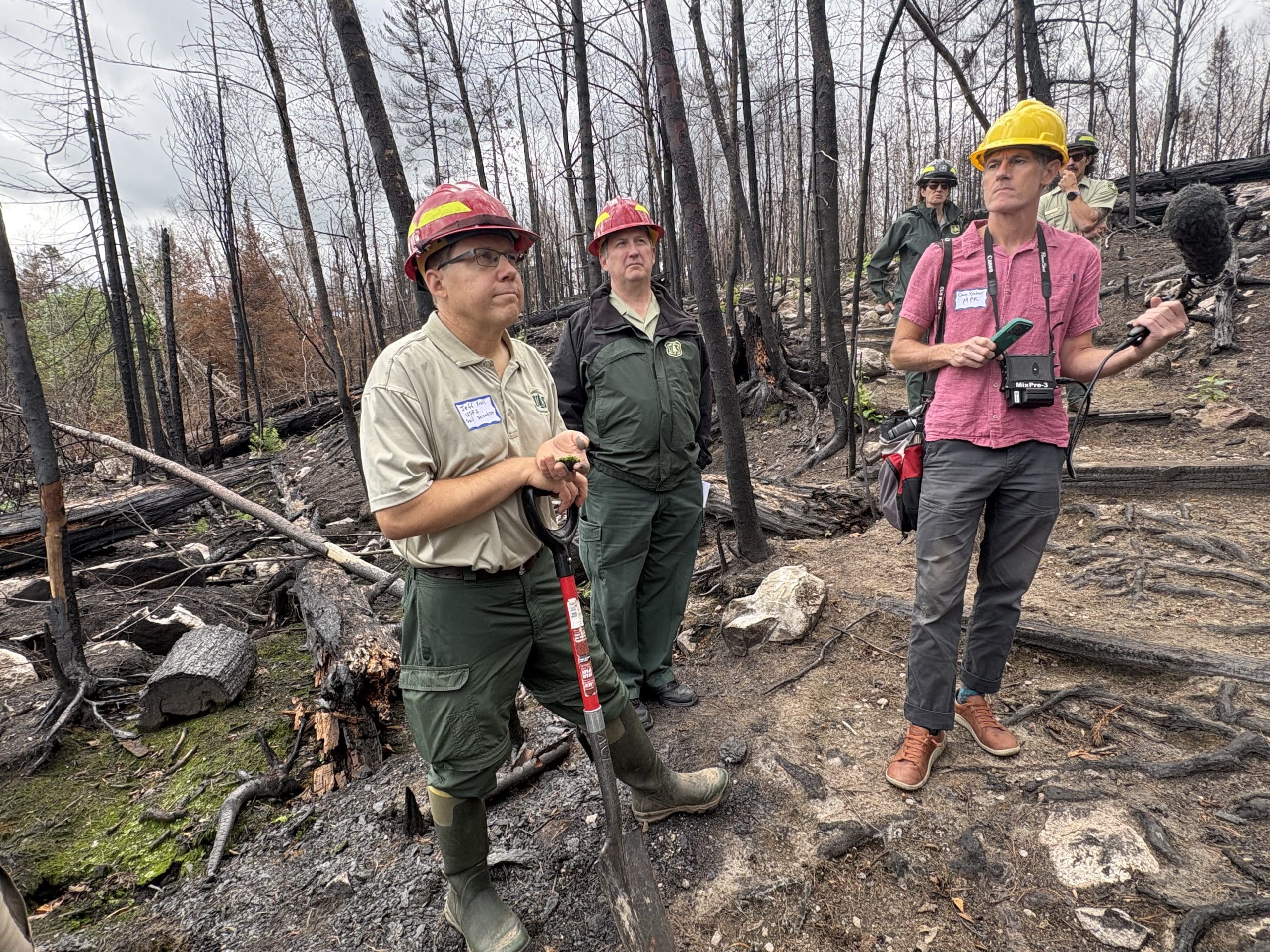 A Tour of Areas Burned in 2026 BWCA Wildfires - Paddle and Portage