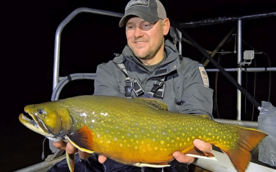DNR Seeks to Close Grand Marais Harbor to Fall Fishing to Protect Coaster Brook Trout